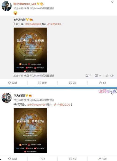 小萬爆料視頻大全最新章節,揭秘娛樂圈幕后真相