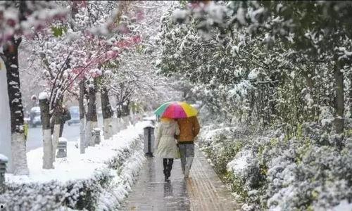 昆明爆料下雪事件最新,市民歡聲笑語迎瑞雪