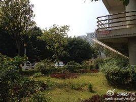 廣州大學城爆料事件最新,揭秘校園疑云背后的真相