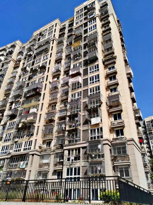 永興福里最新爆料,揭秘神秘項目背后的驚人真相