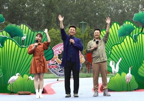 哈利克最新爆料視頻,揭秘神秘事件內(nèi)幕