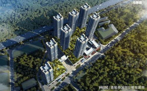 云城s11最新爆料新聞,性能升級，外觀革新，揭秘最新爆料細節