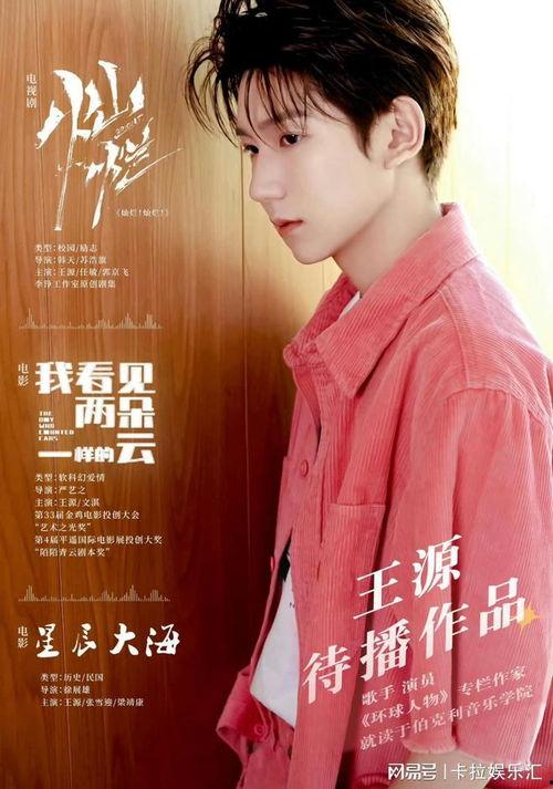 王源最新資源爆料,多領(lǐng)域發(fā)展全面開花