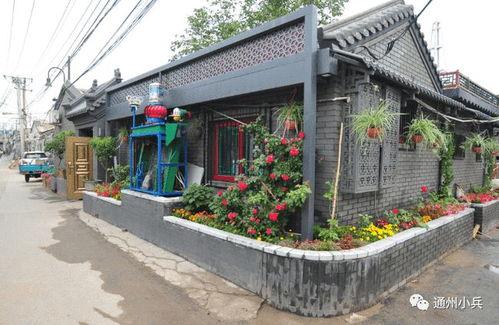 胡桃新皮膚最新爆料2025,驚艷亮相，引領潮流新風尚