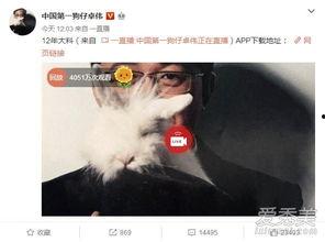 邯鄲出軌爆料事件最新,真相大白，當事人身份及細節曝光