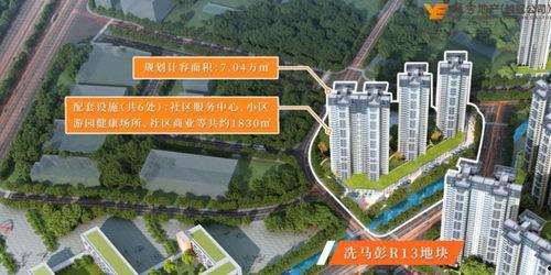 林州龍湖爆料最新消息,揭秘項目進展與未來規劃