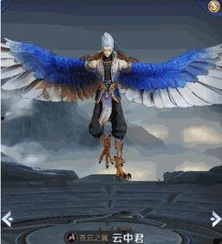 云中君最新爆料視頻,揭秘最新游戲動態與神秘內容