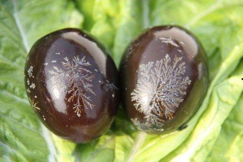 蛋仔皮蛋最新爆料,揭秘最新游戲動態(tài)與神秘內(nèi)容