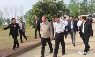 鉛山女子爆料案件最新情況,真相逐步浮出水面