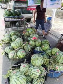 椒江吃瓜最新事件爆料視頻,最新爆料視頻揭露驚人內(nèi)幕