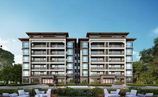 玉林中鼎房產爆料案件最新,揭秘背后驚人真相！