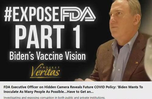 美國高管爆料視頻最新網(wǎng)站,最新網(wǎng)站內(nèi)幕大曝光