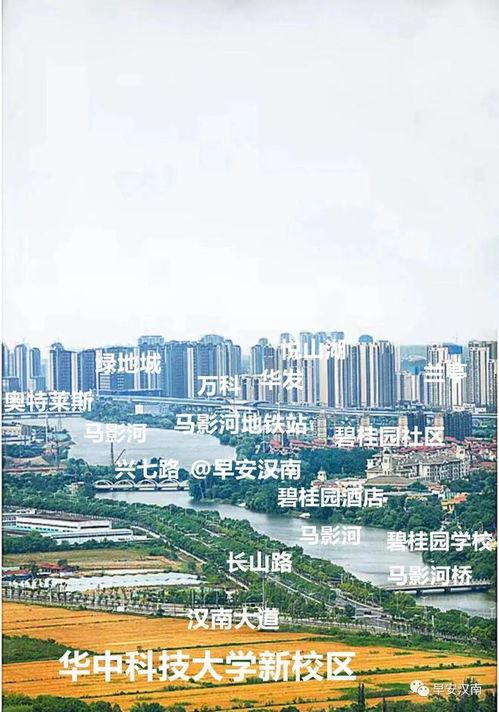 武漢漢南區(qū)最新爆料,揭秘區(qū)域發(fā)展新動態(tài)與民生焦點