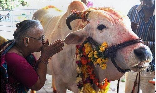 牛不啦大小娜最新爆料,揭秘娛樂圈驚天秘密！