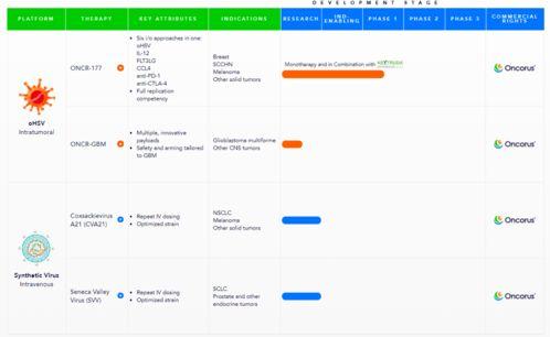 病毒公司最新爆料,病毒起源與傳播途徑全解析