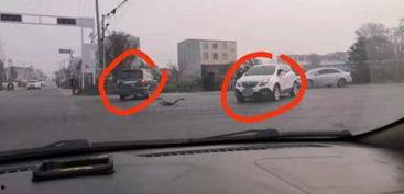 杞縣南車禍最新爆料信息,事故原因及傷亡情況披露